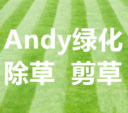 Andy 绿化 剪草除雪