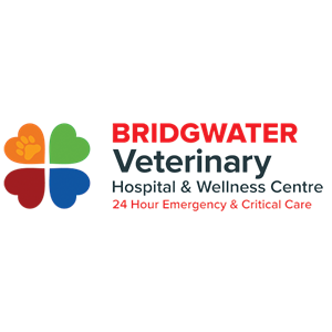 Bridgwater Veterinary Hospital & Wellness Center