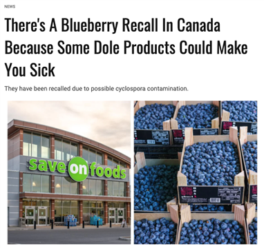 快丢掉！加拿大热销的盒装蓝莓感染致病细菌！
