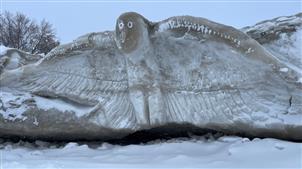 温尼伯湖岸边“惊现”巨大冰雕猫头鹰