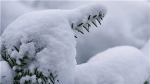 曼省南部需小心 特殊天气声明已发  降雪可达10-20 厘米