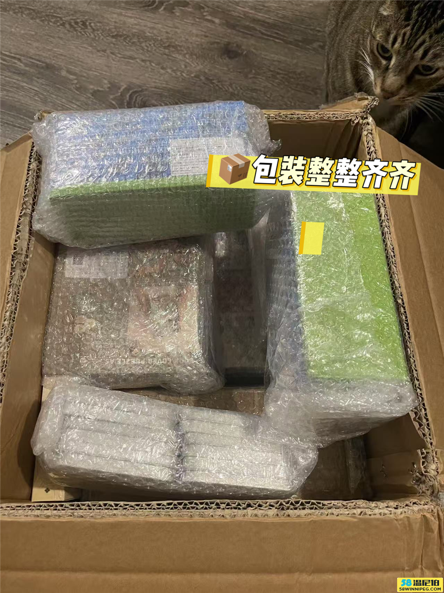论坛3.jpg