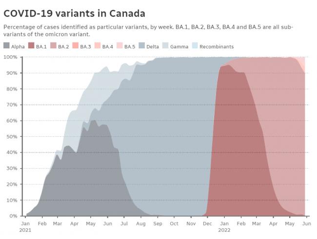 变种病毒长驱直入加拿大 今秋可能爆发第7波疫情